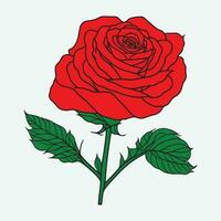 Hand Drawn Rose Black Outline Vector on White Background, Red Rose vector, Rose Flower