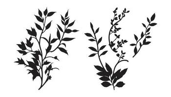 Beautiful Small Plants Silhouette Vector, Plants Vector, Plant silhouette set vector