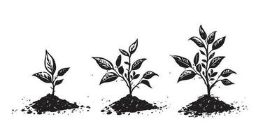 Gradual tree growth in the ground, hand drawn illustrations, vector. vector
