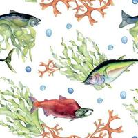 Various wild sea fish seamless pattern watercolor illustration isolated on white. Seaweeds, tuna, salmon, coho, sea plants hand drawn. Design element for textile, packaging, paper, wrapping, banner vector