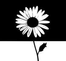 Daisy - Black and White Isolated Icon - Vector illustration