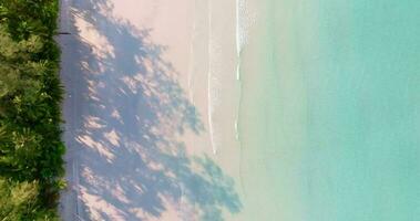 Antenne Drohne Aussicht von das tropisch Strand mit klar Türkis Meer, Weiß Sand und Palme Baum video