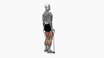 banda levantamento terra ginástica exercício exercite-se animação vídeo masculino músculo realçar 4k 60. fps video