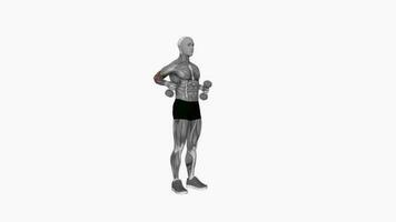 haltère permanent marteau traîne boucle aptitude exercice faire des exercices animation vidéo Masculin muscle surligner 4k 60 images par seconde video