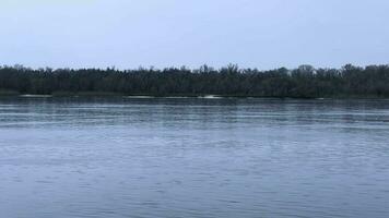 un' silenzioso fiume con calma flusso su un' nuvoloso giorno, alberi senza le foglie su il di fronte banca. video