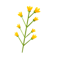 illustration av en blomma stjälk använder sig av vattenfärg png