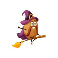 Vegetable potato magician on broom isolated veggie vector