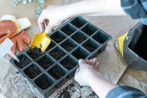 the process of filling pots for seedlings with earth photo