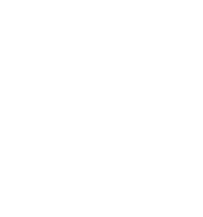 wit sneeuwvlokken element png