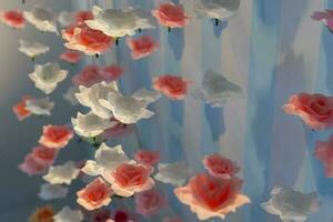 an artistic spatial composition of rose flowers suspended in the air photo