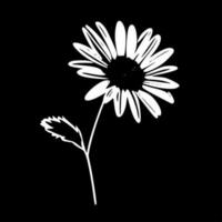 Daisy, Black and White Vector illustration