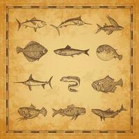 Sea and ocean fish sketches, ancient map elements vector