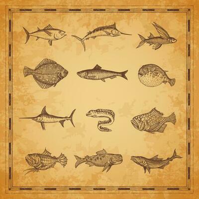 Sea and ocean fish sketches, ancient map elements