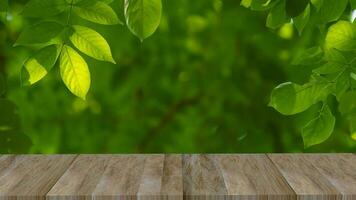 wooden walkway in the garden. photo