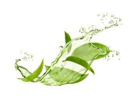 herbario bebida ola chapoteo con verde té hojas vector
