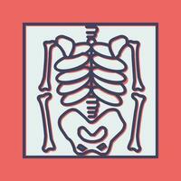 Skeleton Vector Icon