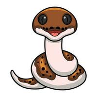 Cute pied reticulated python cartoon vector