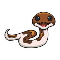 Cute pied reticulated python cartoon vector