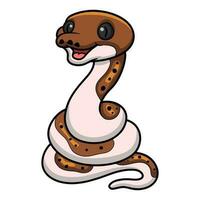 Cute pied reticulated python cartoon vector