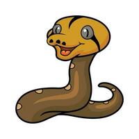 Cute golden child reticulated python cartoon vector