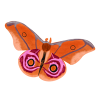 ilustração de borboleta desenhada de mão png