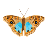 dibujado a mano ilustración de mariposa png