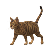 Cat isolated on a Transparent Background png