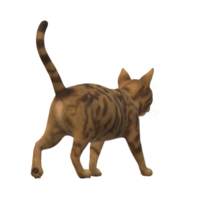 gato isolado em uma transparente fundo png