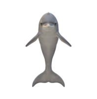 Dolphin isolated on a Transparent Background png