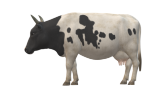 vaca aislado en un transparente antecedentes png