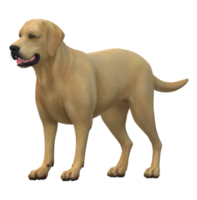 Dog isolated on a Transparent Background png