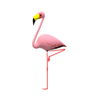 flamingo isolerat på en transparent bakgrund png