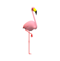 Flamingo isolated on a Transparent Background png