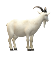 Goat isolated on a Transparent Background png