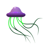 Jelly Fish isolated on a Transparent Background png