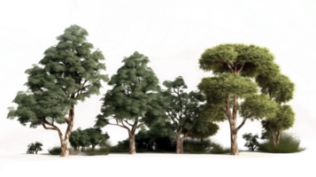 paisaje árbol en transparente antecedentes. png
