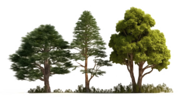 landscape tree on transparent background. png