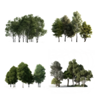 landscape tree on transparent background. png