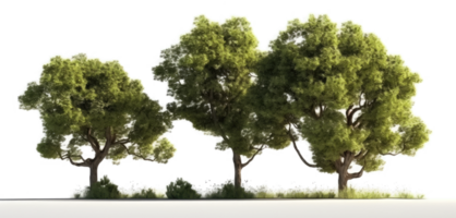 paisaje árbol en transparente antecedentes. png