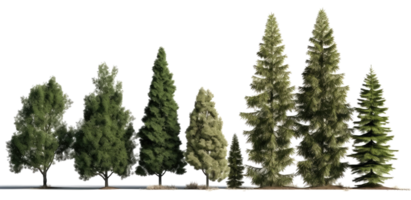 landscape tree on transparent background. png