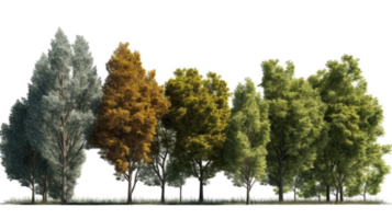 landscape tree on transparent background. png