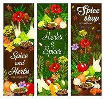 Spice, herb and seasoning, food condiment banners vector