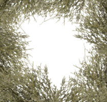 ram av torr kvistar av en bukett av blommor isolerat bakgrund transparent png