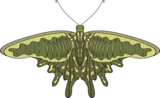 mariposa ilustración en transparente antecedentes png