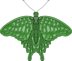 mariposa ilustración en transparente antecedentes png