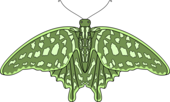 mariposa ilustración en transparente antecedentes png