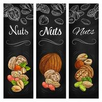 Nut and legume bean sketch chalkboard banners vector