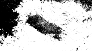 Rustic grunge texture with grain and stains. Abstract noise background. PNG graphic illustration with transparent background.