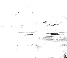 rustik grunge textur med spannmål och fläckar. abstrakt ljud bakgrund. png grafisk illustration med transparent bakgrund.