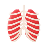 Red Lungs With Rib Cage Element In 3D Style. png